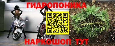 ALPHA PVP Сланцы