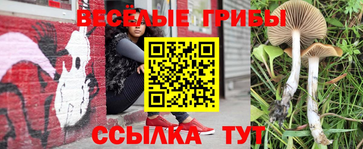 цены наркотик  Вход с VPN  Геленджик  Псилоцибиновые грибы Magic Shrooms 